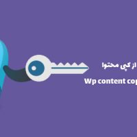 افزونه جلوگیری از کپی محتوا | Wp content copy protection pro