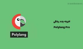 افزونه Polylang Pro – چند زبانگی در وردپرس