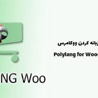 افزونه چند زبانه کردن ووکامرس | Polylang for Woocommerce