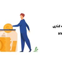 افزونه سرمایه گذاری | HYIPLAB