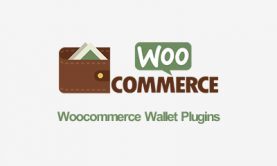 افزونه کیف پول ووکامرس – پرداخت با شارژ حساب کاربری Woocommerce Wallet